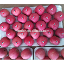 Chine Yantai frais rouge Fuji Apple